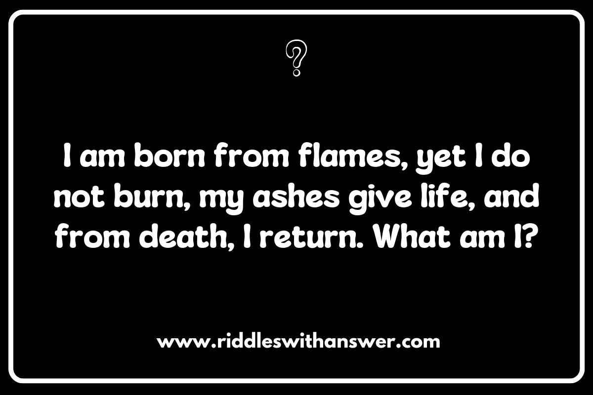 Riddles of Transformation: The Rebirth of the Phoenix and the Magic of Unicorns Riddles of Transformation: The Rebirth of the Phoenix and the Magic of Unicorns
