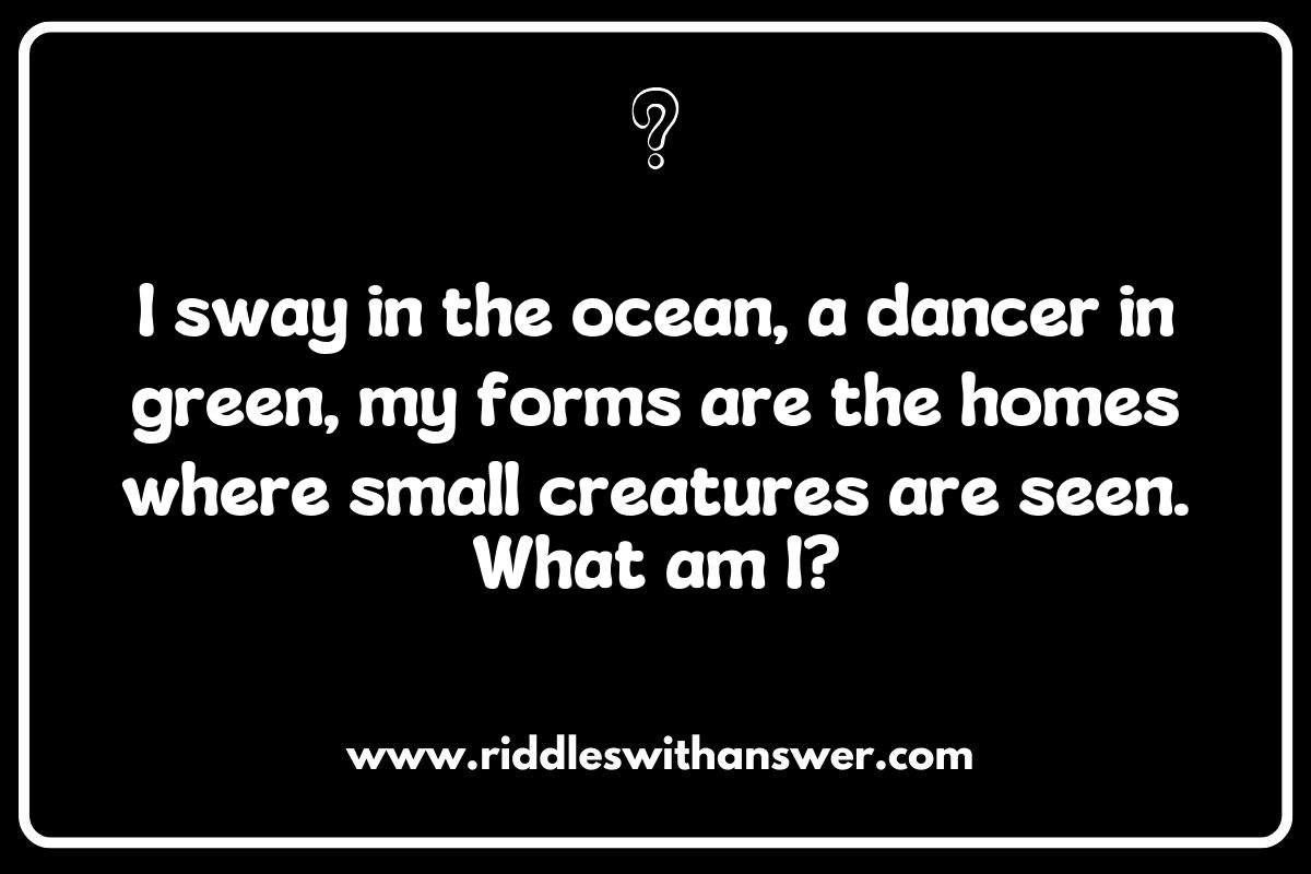 Riddles of the Tide: Seaweed and Kelp in Marine Ecosystems Riddles of the Tide: Seaweed and Kelp in Marine Ecosystems