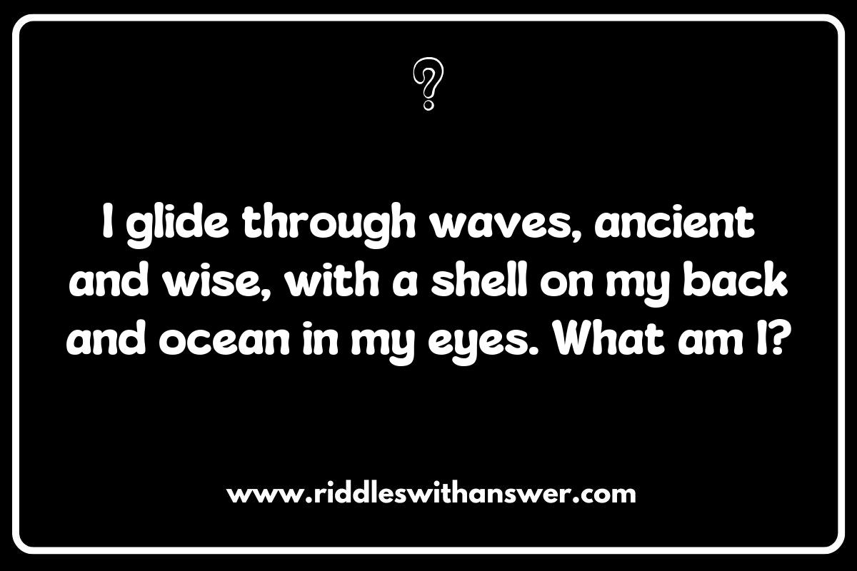 Sea Turtle Riddles That Highlight Conservation Awareness Sea Turtle Riddles That Highlight Conservation Awareness
