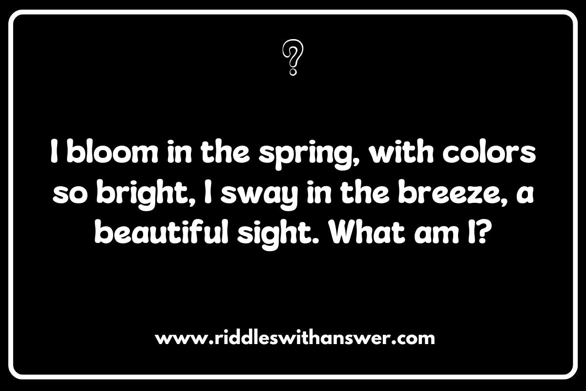 Seasonal Nature Riddles for Kids: Celebrate Nature Year-Round Seasonal Nature Riddles for Kids: Celebrate Nature Year-Round