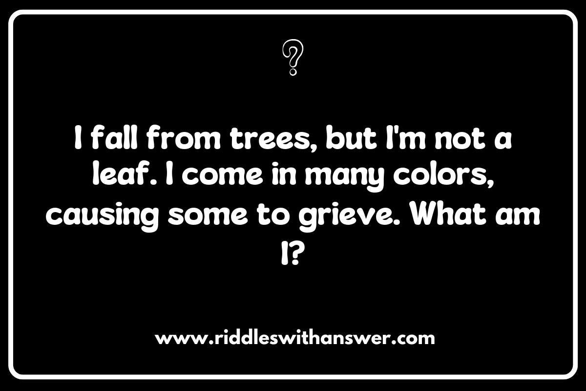 Seasonal Riddles for All Ages: Autumn Mysteries Seasonal Riddles for All Ages: Autumn Mysteries