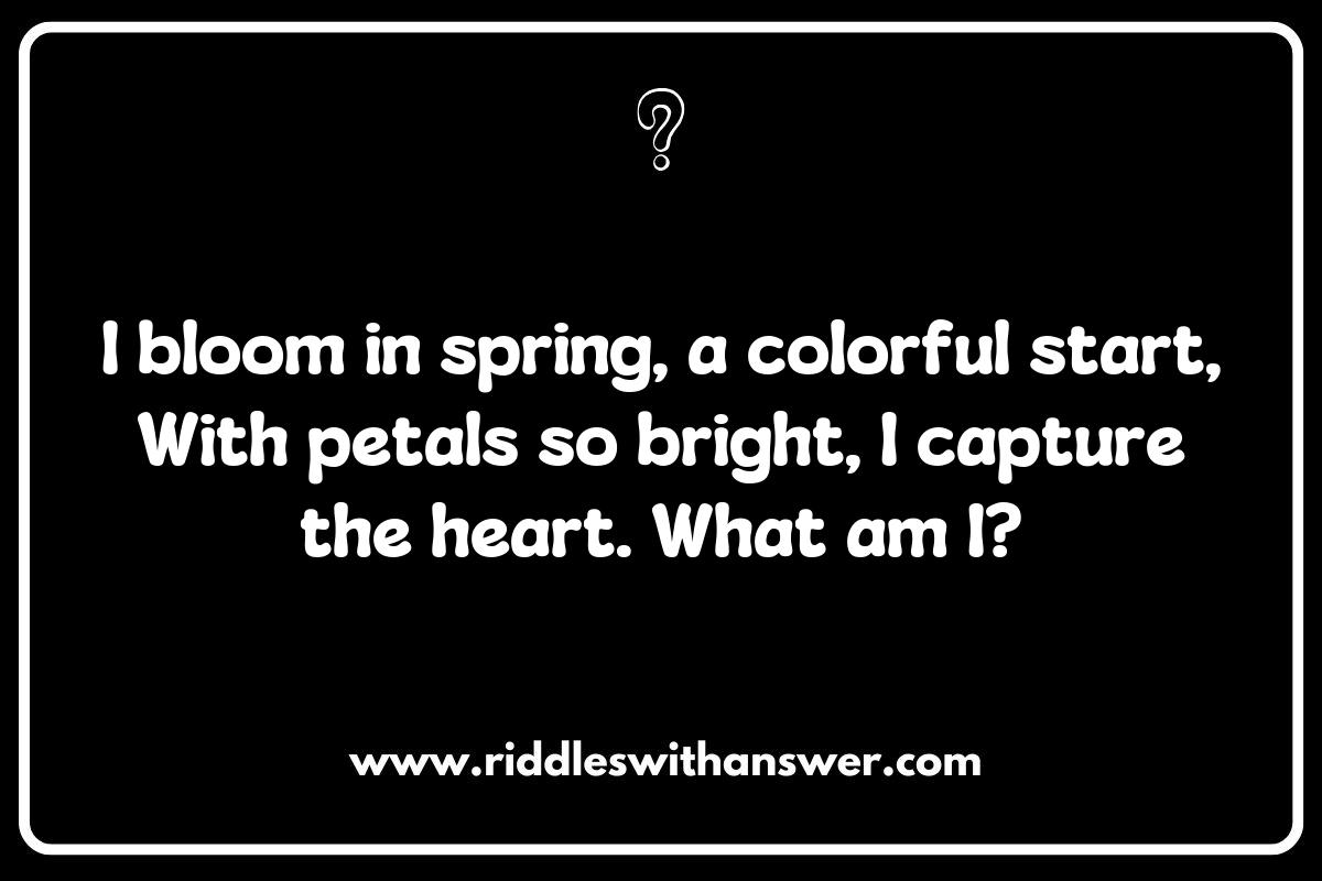 Seasonal Surprises: Walking and Hiking Riddles Inspired by Nature's Changes Seasonal Surprises: Walking and Hiking Riddles Inspired by Nature's Changes