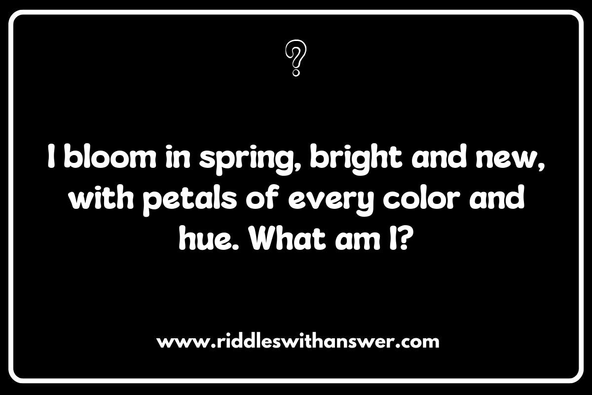Seasonal What Am I Riddles for Every Season: A Fun Challenge Seasonal What Am I Riddles for Every Season: A Fun Challenge