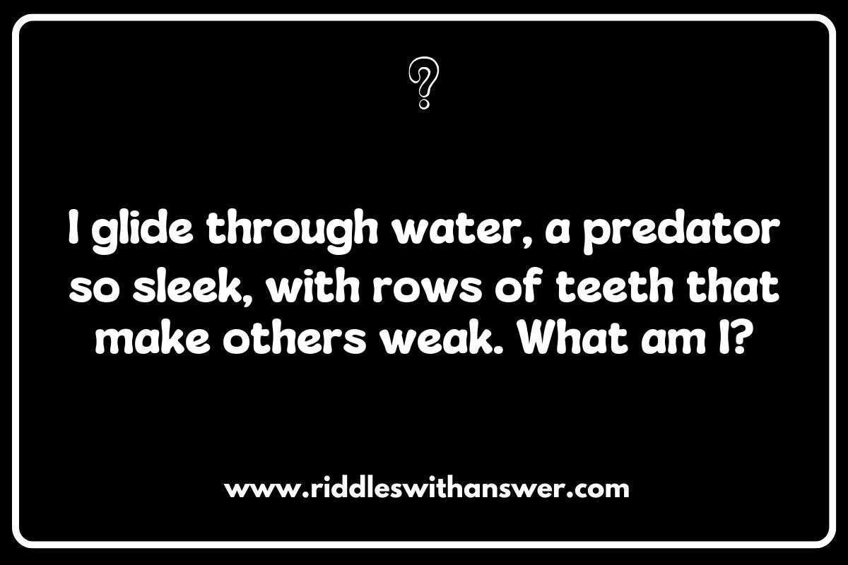 Shark Riddles: Dive into the Depths of Ocean Mysteries Shark Riddles: Dive into the Depths of Ocean Mysteries