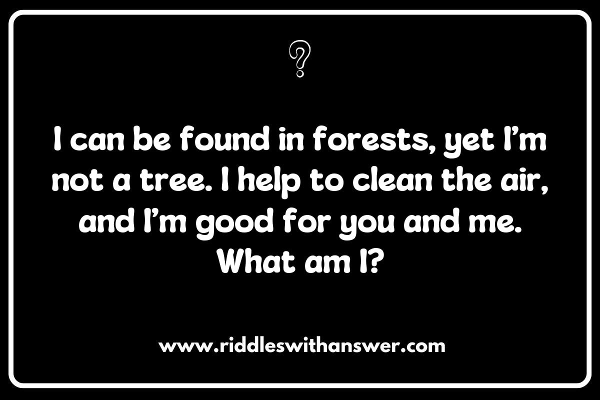 Sustainability Riddles: Inspiring Action through Thought-Provoking Questions Sustainability Riddles: Inspiring Action through Thought-Provoking Questions