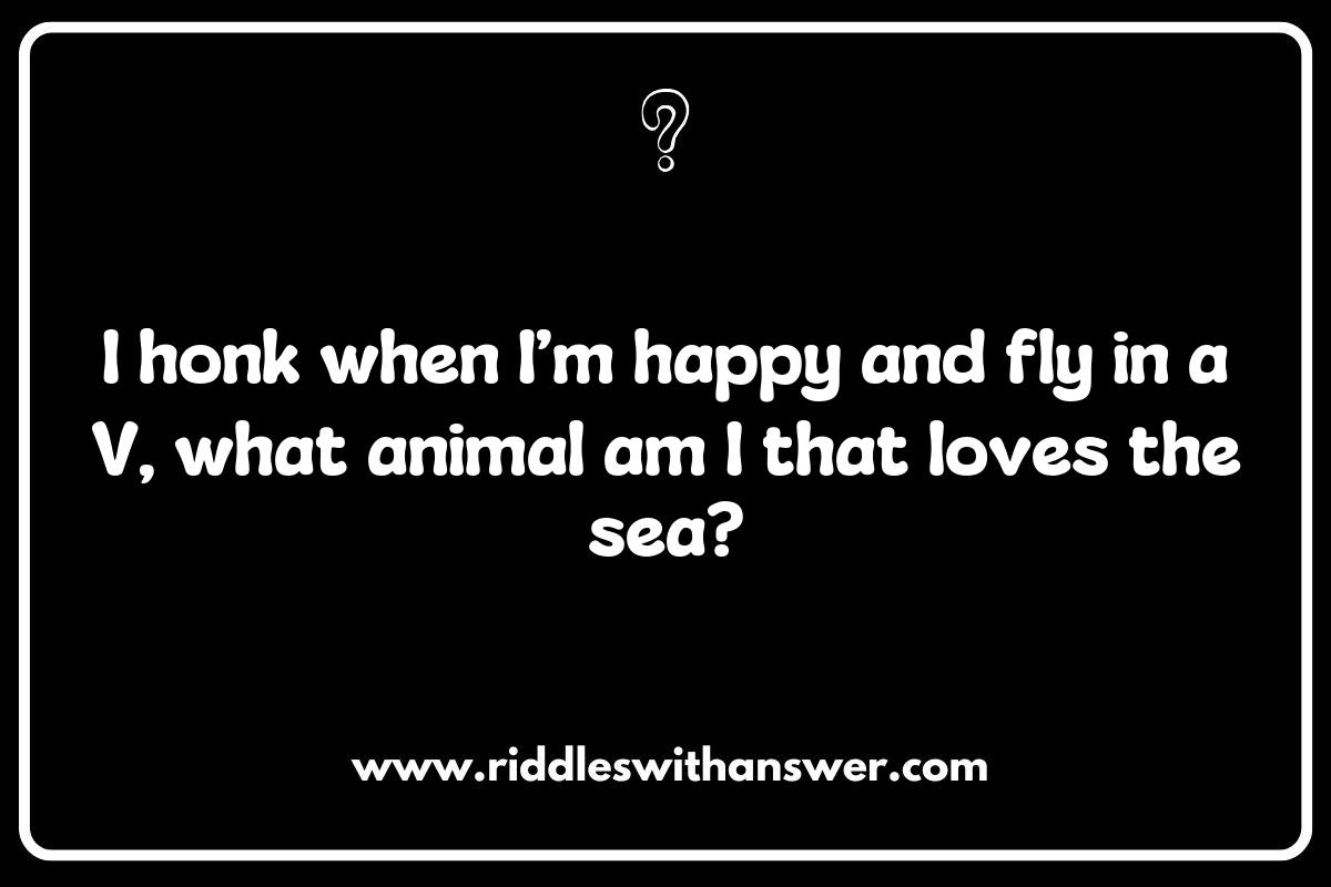 The Benefits of Solving Animal Sounds Riddles for Kids: Cognitive Development The Benefits of Solving Animal Sounds Riddles for Kids: Cognitive Development