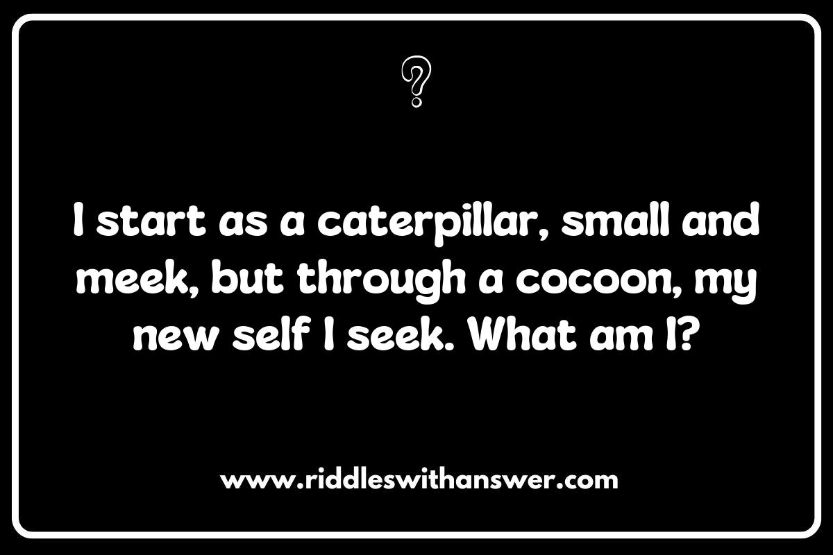 The Connection Between Transformation in Myths Riddles and Personal Growth The Connection Between Transformation in Myths Riddles and Personal Growth