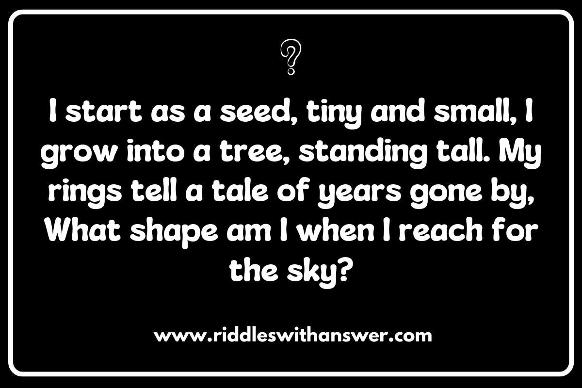 The Cycle of Life: Shapes in Nature Riddles Representing Ecosystems The Cycle of Life: Shapes in Nature Riddles Representing Ecosystems