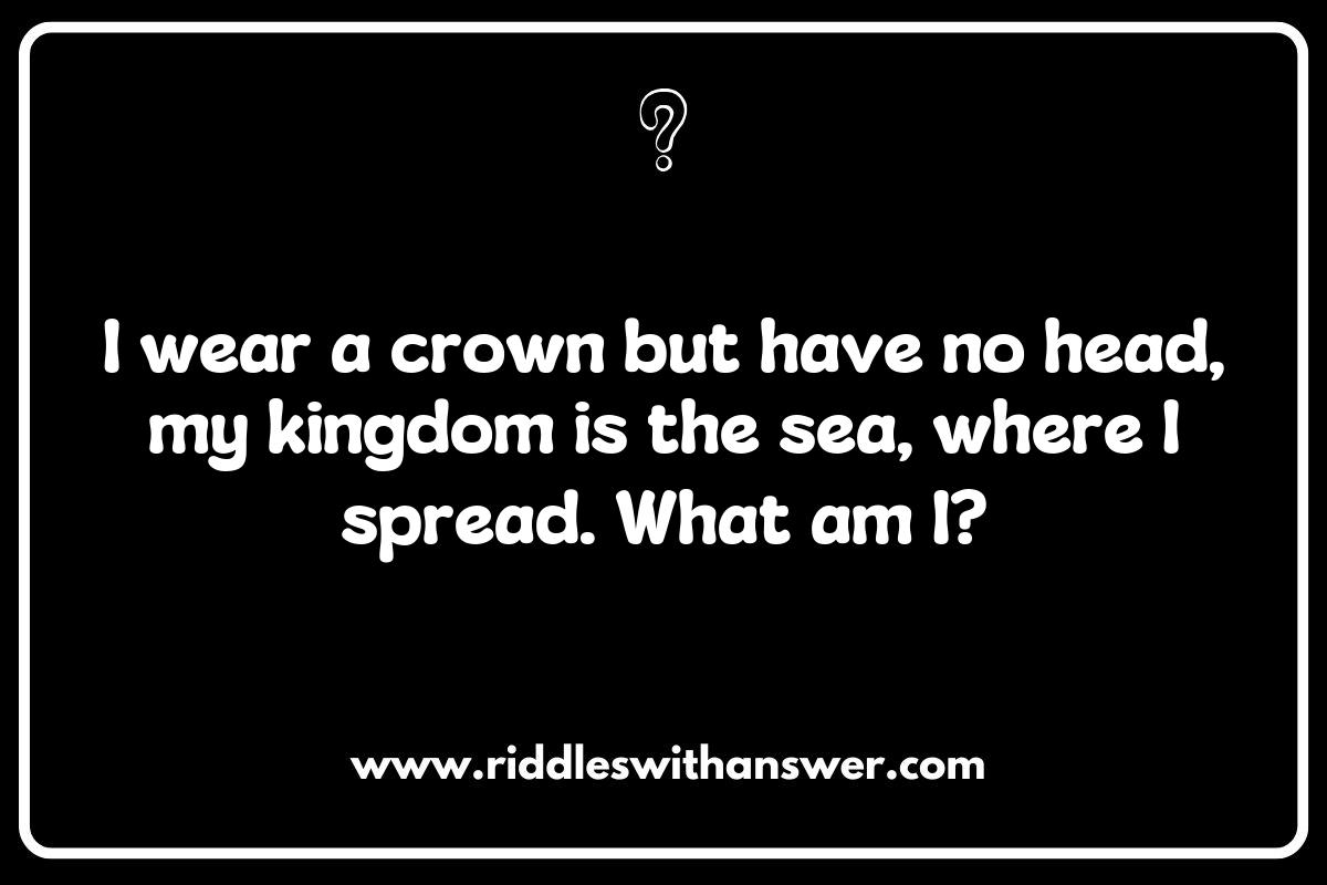 The Ecosystem of the Ocean: Riddles Highlighting Marine Life Interactions The Ecosystem of the Ocean: Riddles Highlighting Marine Life Interactions