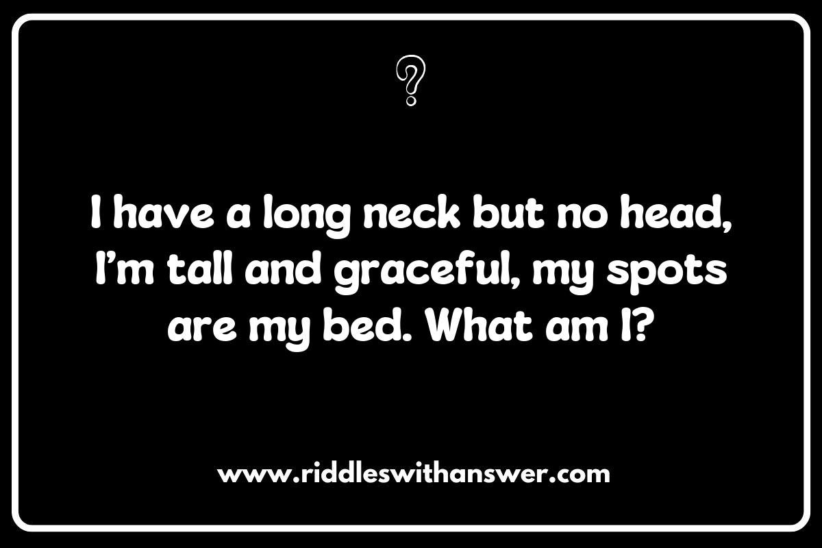 The Educational Benefits of What is It Animal Riddles The Educational Benefits of What is It Animal Riddles