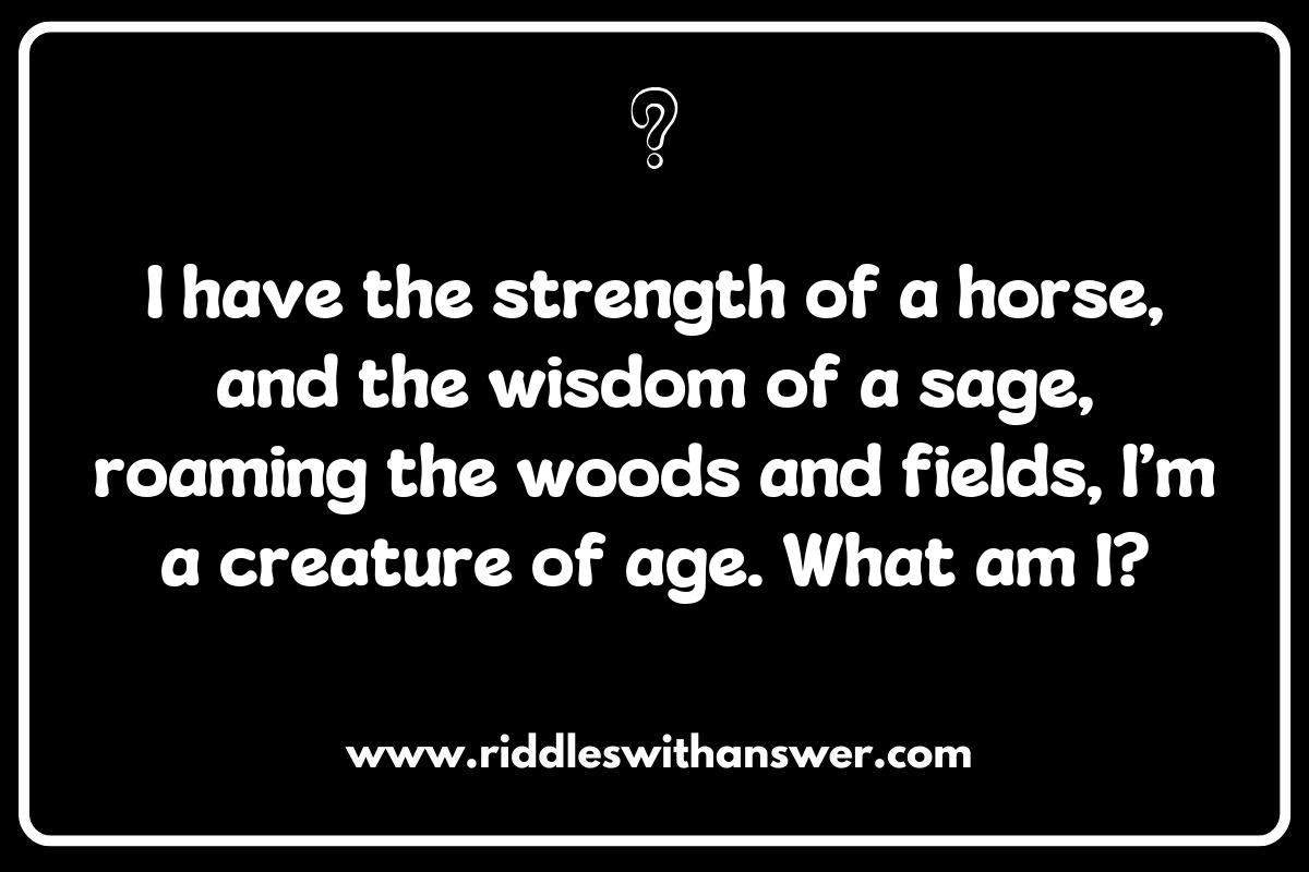 The Educational Value of Centaur Riddles for All Ages The Educational Value of Centaur Riddles for All Ages