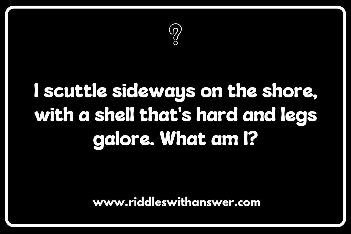 The Fascinating World of Crustacean Riddles: A Deep Dive The Fascinating World of Crustacean Riddles: A Deep Dive