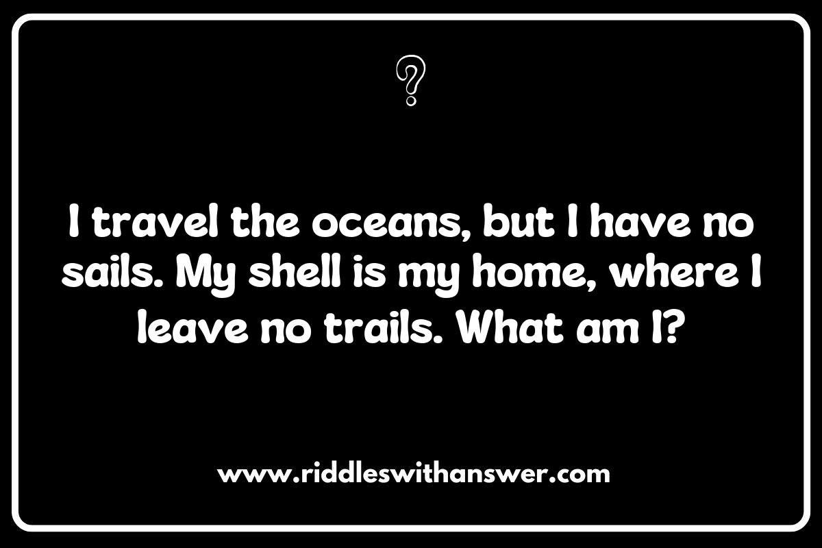 The Fascinating World of Sea Turtle Riddles The Fascinating World of Sea Turtle Riddles