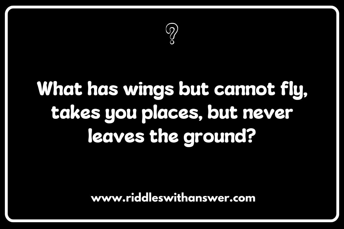 The Fun of Riddles About Airports and Flying for Kids The Fun of Riddles About Airports and Flying for Kids