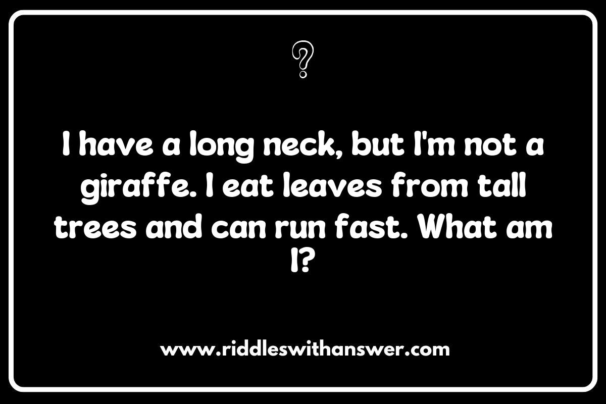 The Fun of What is It Animal Riddles for Kids The Fun of What is It Animal Riddles for Kids