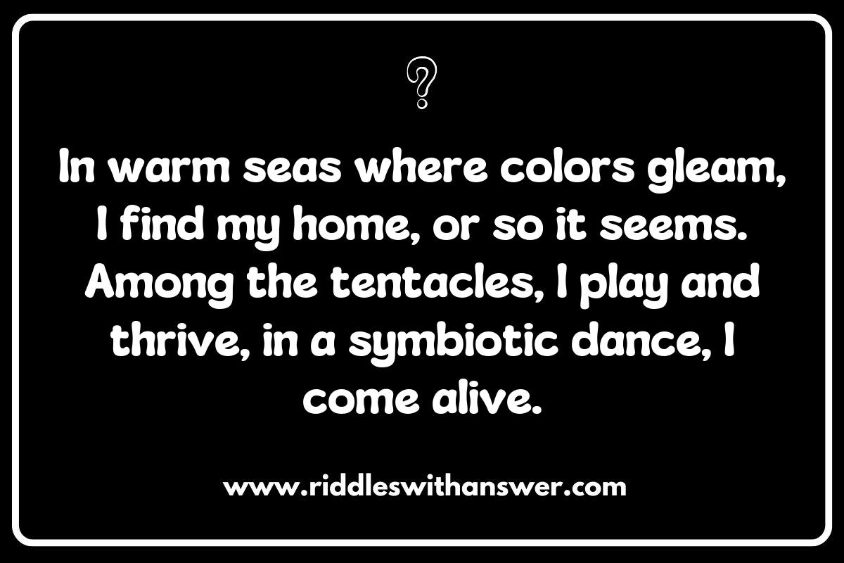 The Habitat of Clownfish Riddles: Where Do They Live? The Habitat of Clownfish Riddles: Where Do They Live?
