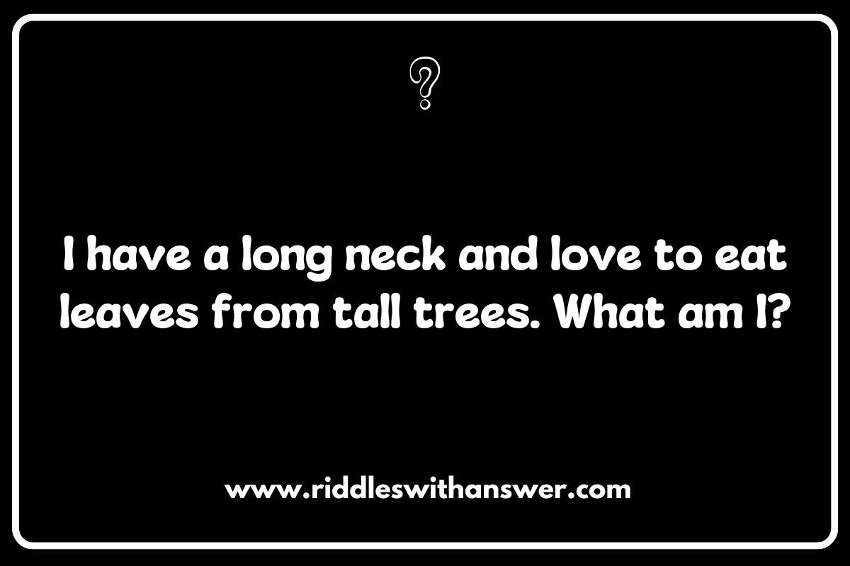 The Importance of Animal Riddles for Kids in Learning The Importance of Animal Riddles for Kids in Learning