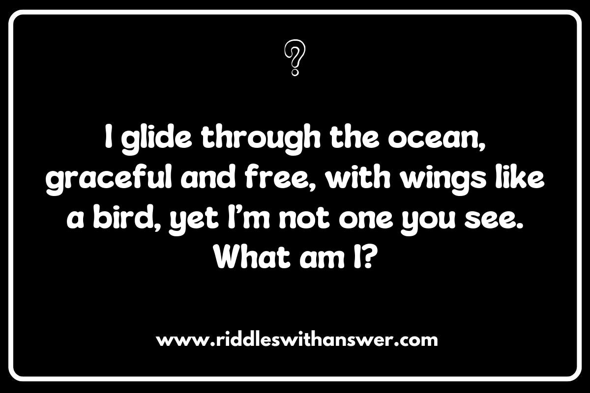 The Importance of Manta Ray Riddles in Marine Education The Importance of Manta Ray Riddles in Marine Education
