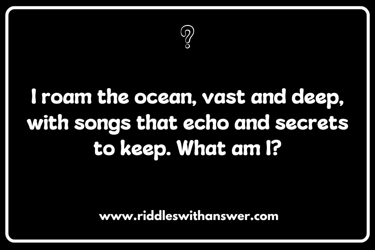 The Importance of Whale Riddles in Marine Education The Importance of Whale Riddles in Marine Education
