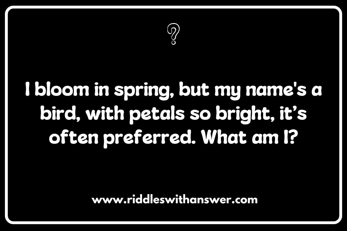 The Language of Flowers: Meaningful Flower Riddles to Solve The Language of Flowers: Meaningful Flower Riddles to Solve