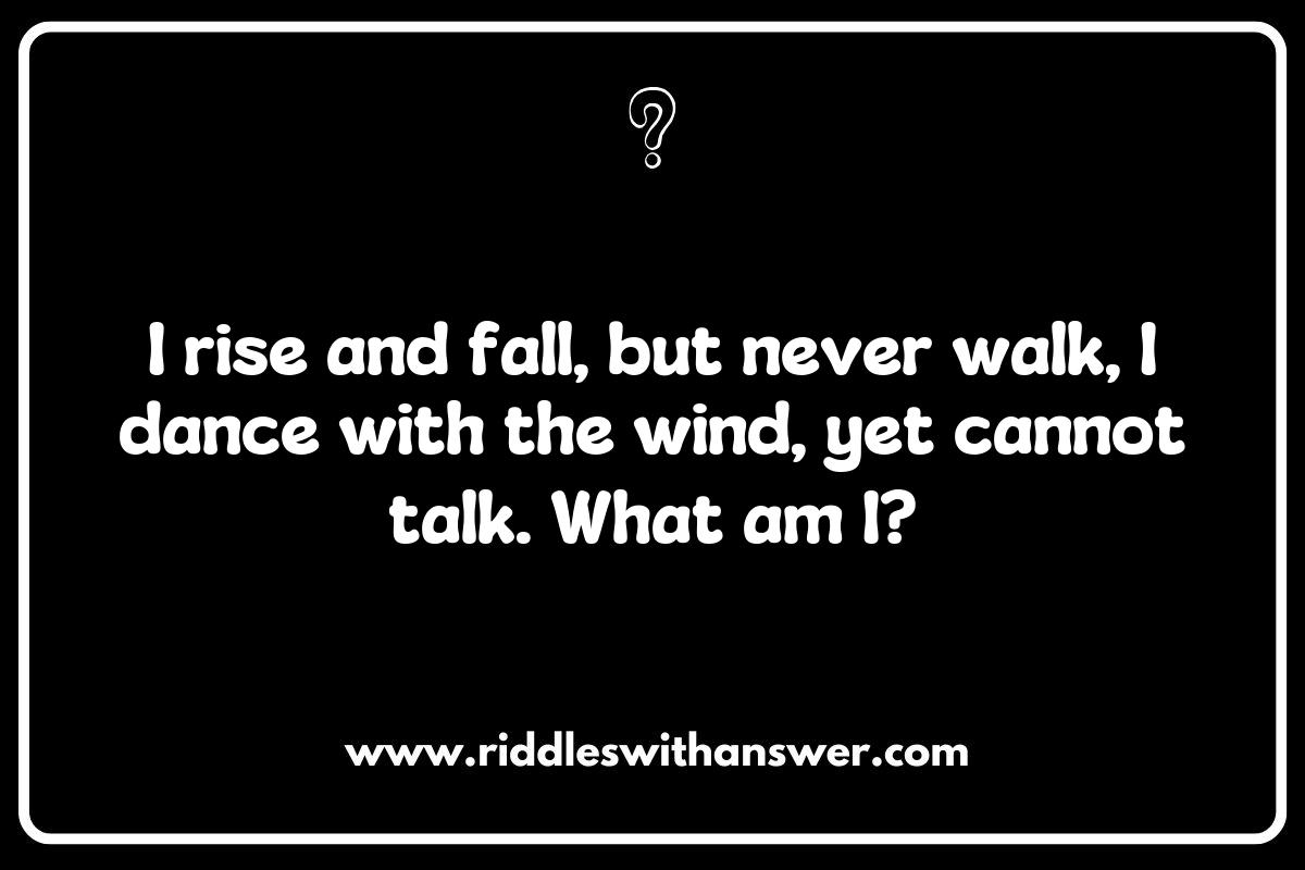 The Language of the Ocean: Riddles Inspired by Surfing Terms The Language of the Ocean: Riddles Inspired by Surfing Terms