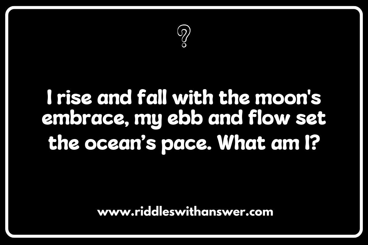 The Language of the Waves: Nautical Terms in Sailing and Sea Voyage Riddles The Language of the Waves: Nautical Terms in Sailing and Sea Voyage Riddles