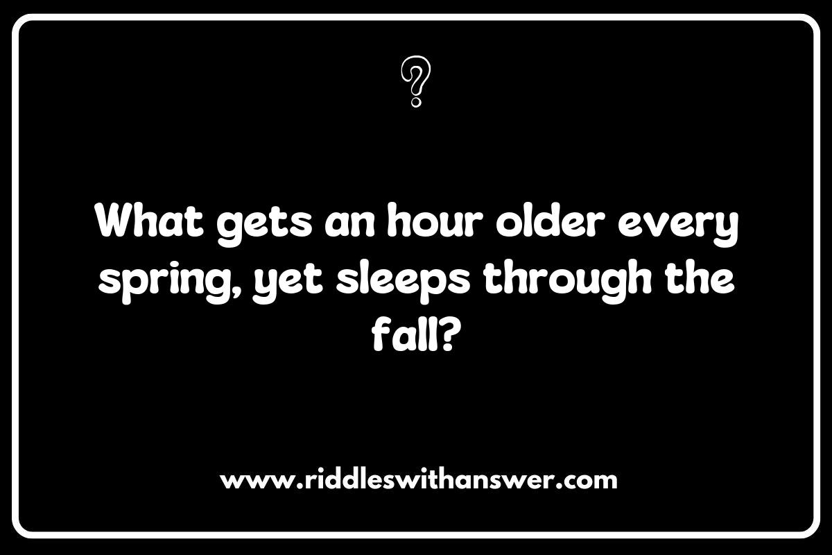 The Mystery of Riddles about Daylight Saving Time: Time Travel or Time Tweak? The Mystery of Riddles about Daylight Saving Time: Time Travel or Time Tweak?