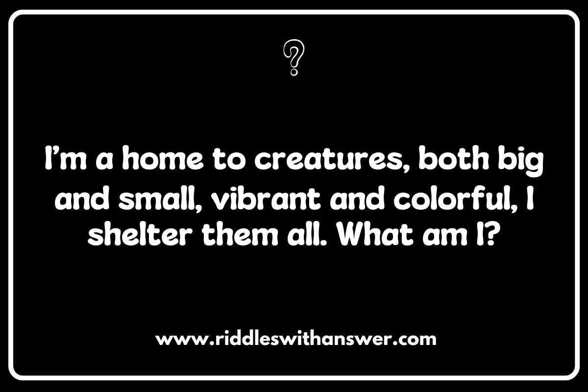 The Role of Coral Reefs in Nature: Riddles to Discover The Role of Coral Reefs in Nature: Riddles to Discover
