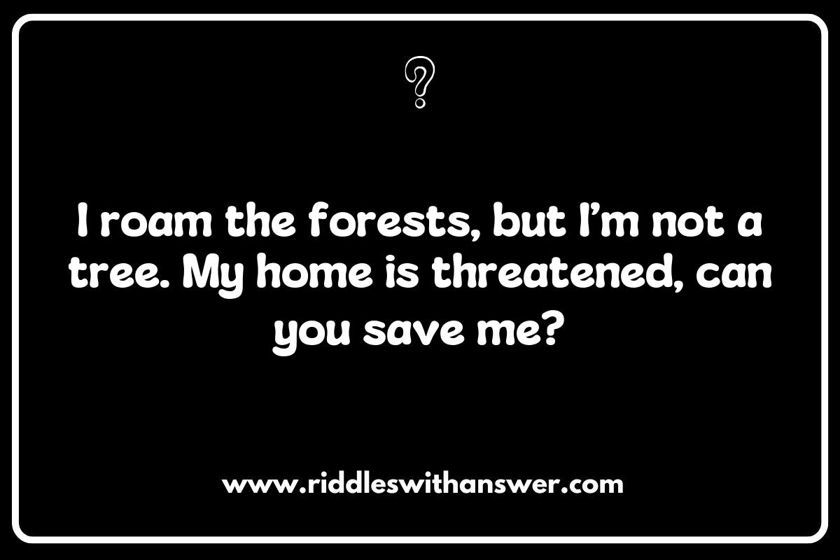 The Role of Endangered Species Riddles in Engaging Communities The Role of Endangered Species Riddles in Engaging Communities