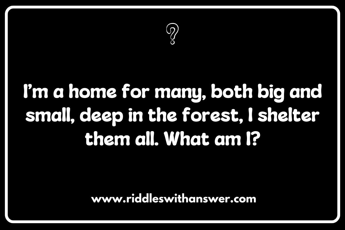 The Role of Habitats in Wildlife Protection Riddles The Role of Habitats in Wildlife Protection Riddles