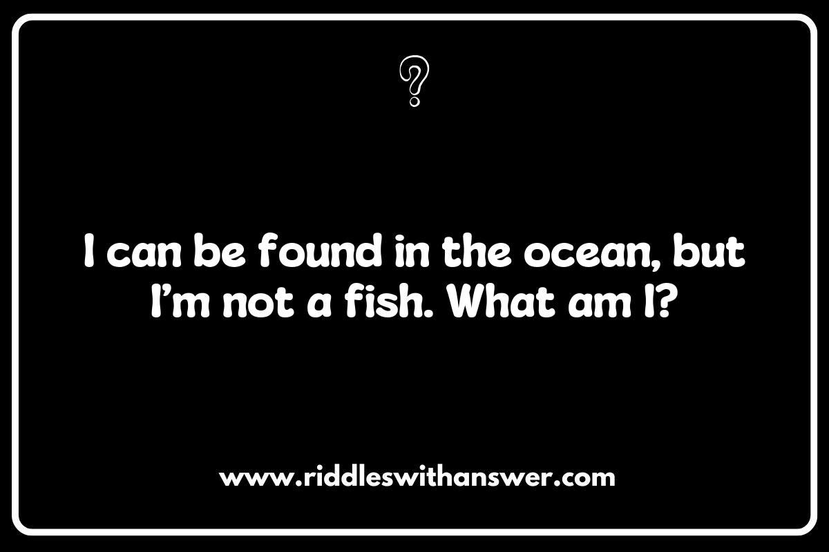The Science Behind Word Riddles with Puns: Why We Love Them The Science Behind Word Riddles with Puns: Why We Love Them