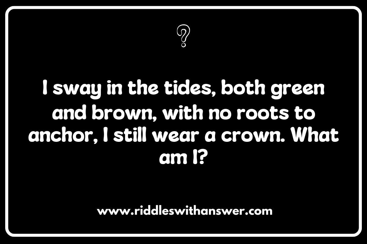 The Science of Seaweed and Kelp: Riddles on Their Unique Properties The Science of Seaweed and Kelp: Riddles on Their Unique Properties