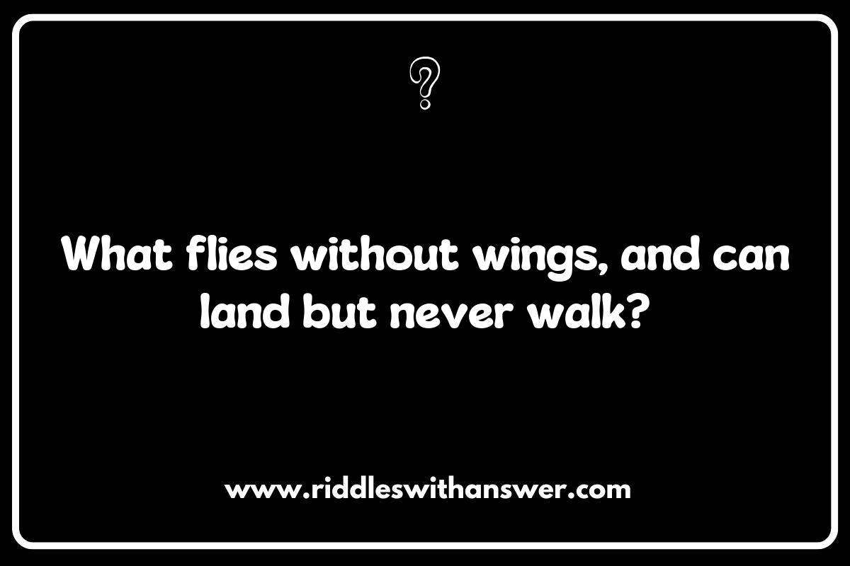 The Sky's the Limit: Clever Pilot Riddles to Challenge Your Mind The Sky's the Limit: Clever Pilot Riddles to Challenge Your Mind