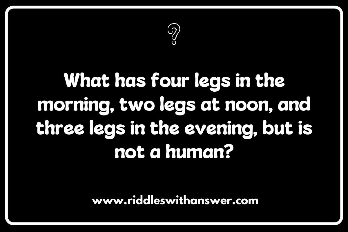 The Therapeutic Benefits of Solving Veterinarian Riddles for Animal Enthusiasts The Therapeutic Benefits of Solving Veterinarian Riddles for Animal Enthusiasts