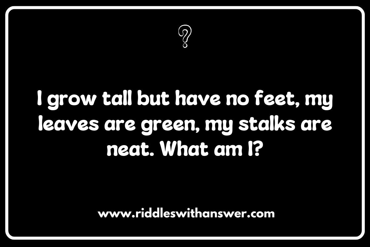 The Wisdom of Farmer and Gardener Riddles: Cultivating Cleverness The Wisdom of Farmer and Gardener Riddles: Cultivating Cleverness