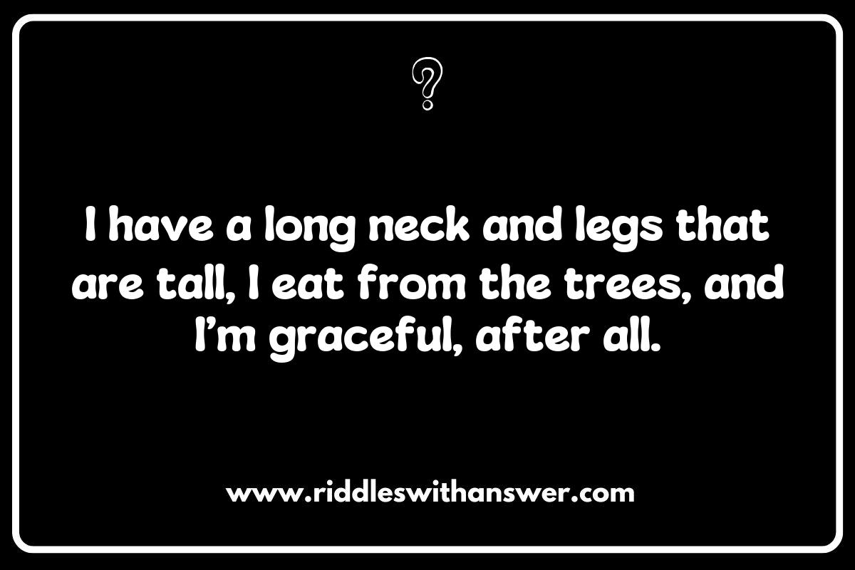 Top 10 Animal Riddles for Kids That Will Make Them Think Top 10 Animal Riddles for Kids That Will Make Them Think