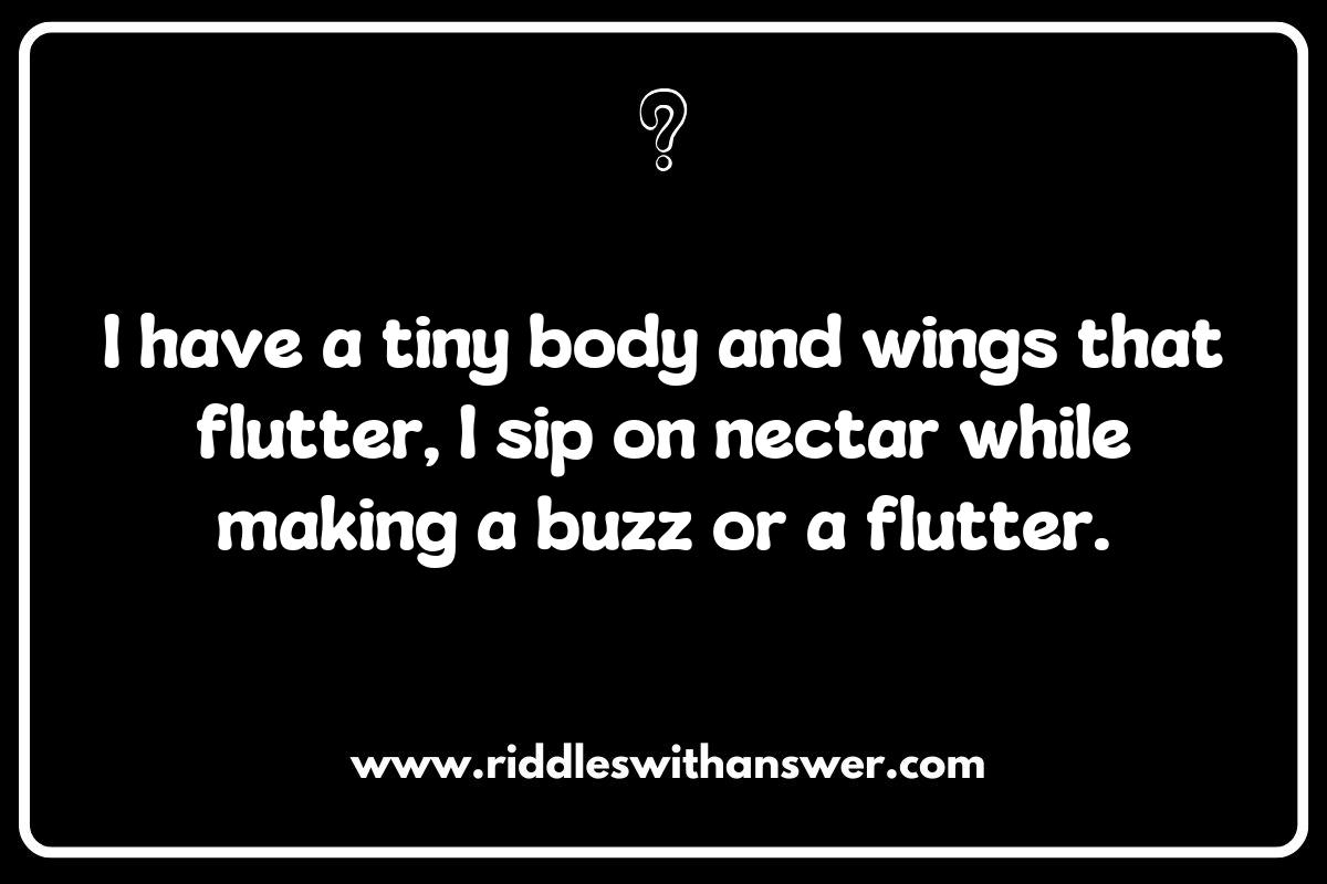 Top 10 Insect Top 10 Insect