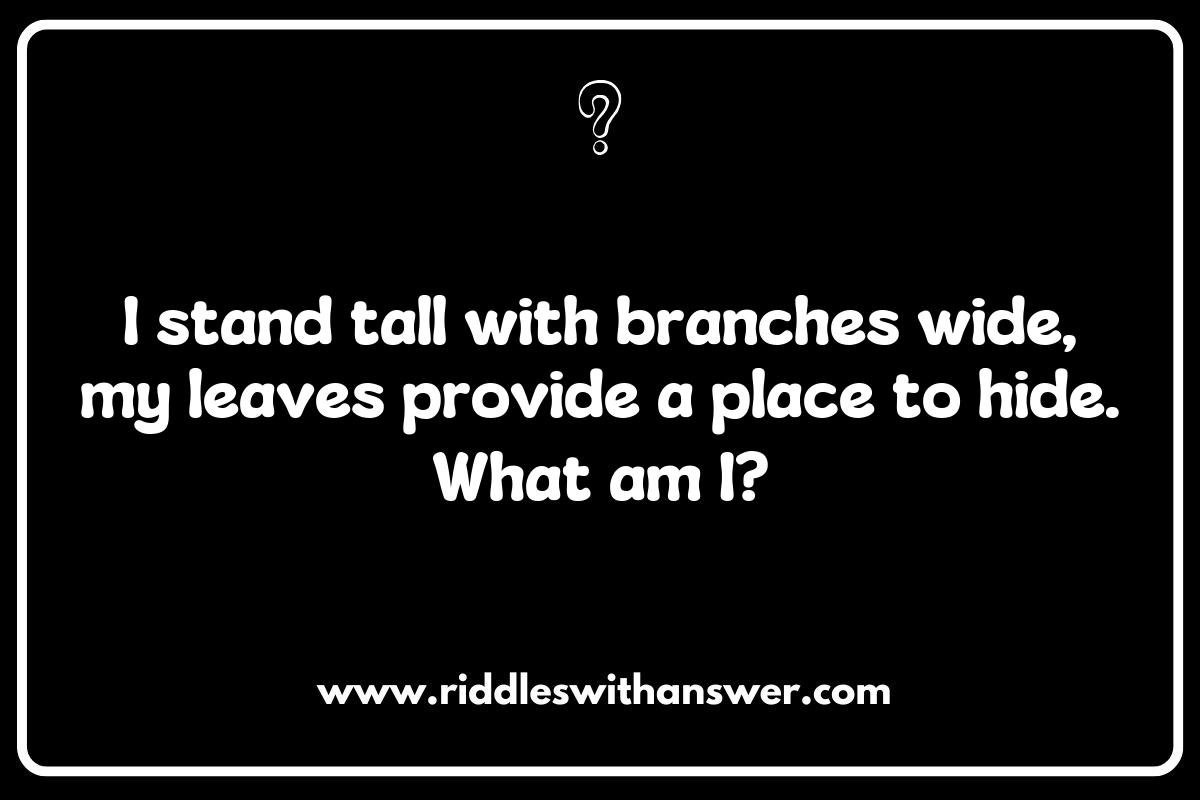 Tree or Plant Tree or Plant