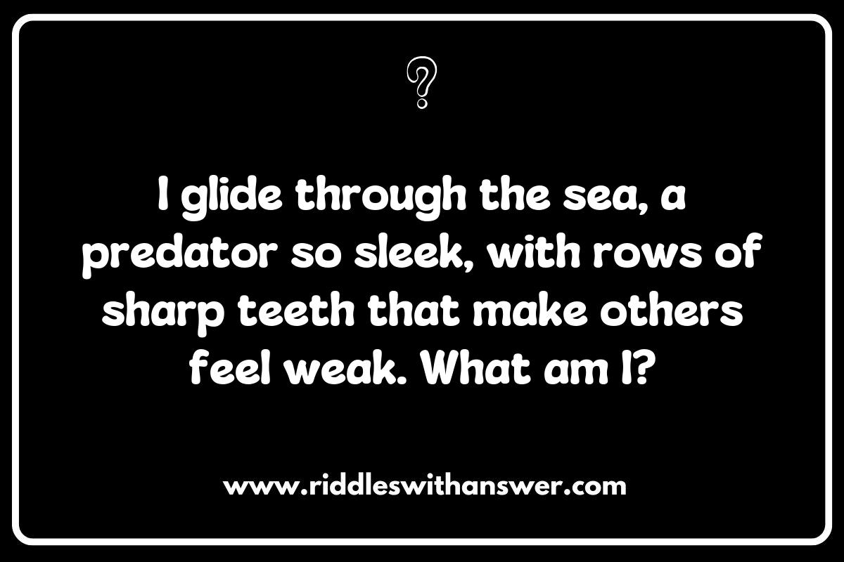 Underwater Whispers: Creative Shark Riddles for All Ages Underwater Whispers: Creative Shark Riddles for All Ages
