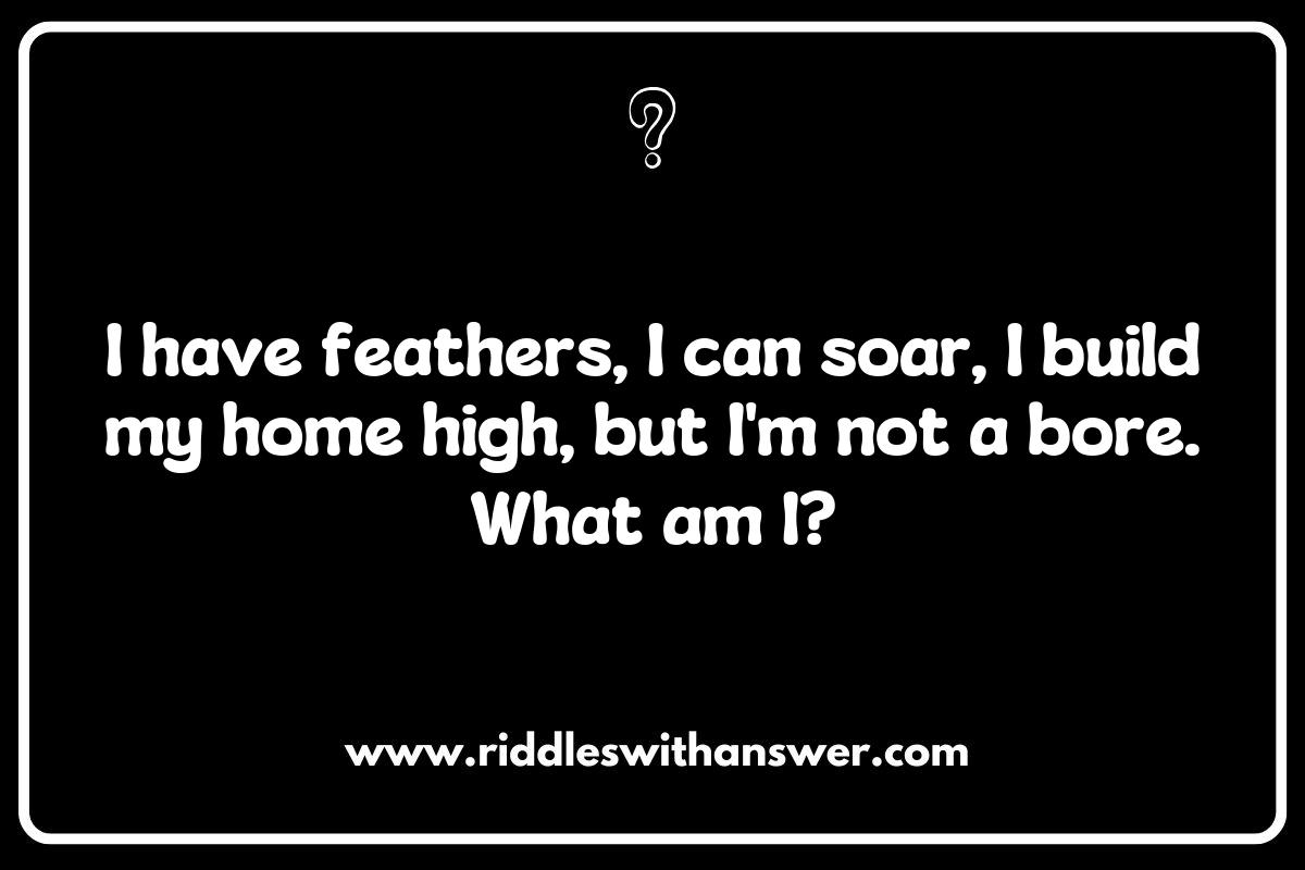Using Birds and Flight Riddles for Educational Purposes in Classrooms Using Birds and Flight Riddles for Educational Purposes in Classrooms