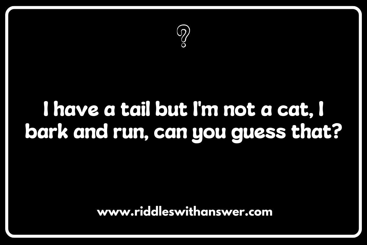 Using Veterinarian Riddles to Promote Animal Welfare Initiatives Using Veterinarian Riddles to Promote Animal Welfare Initiatives