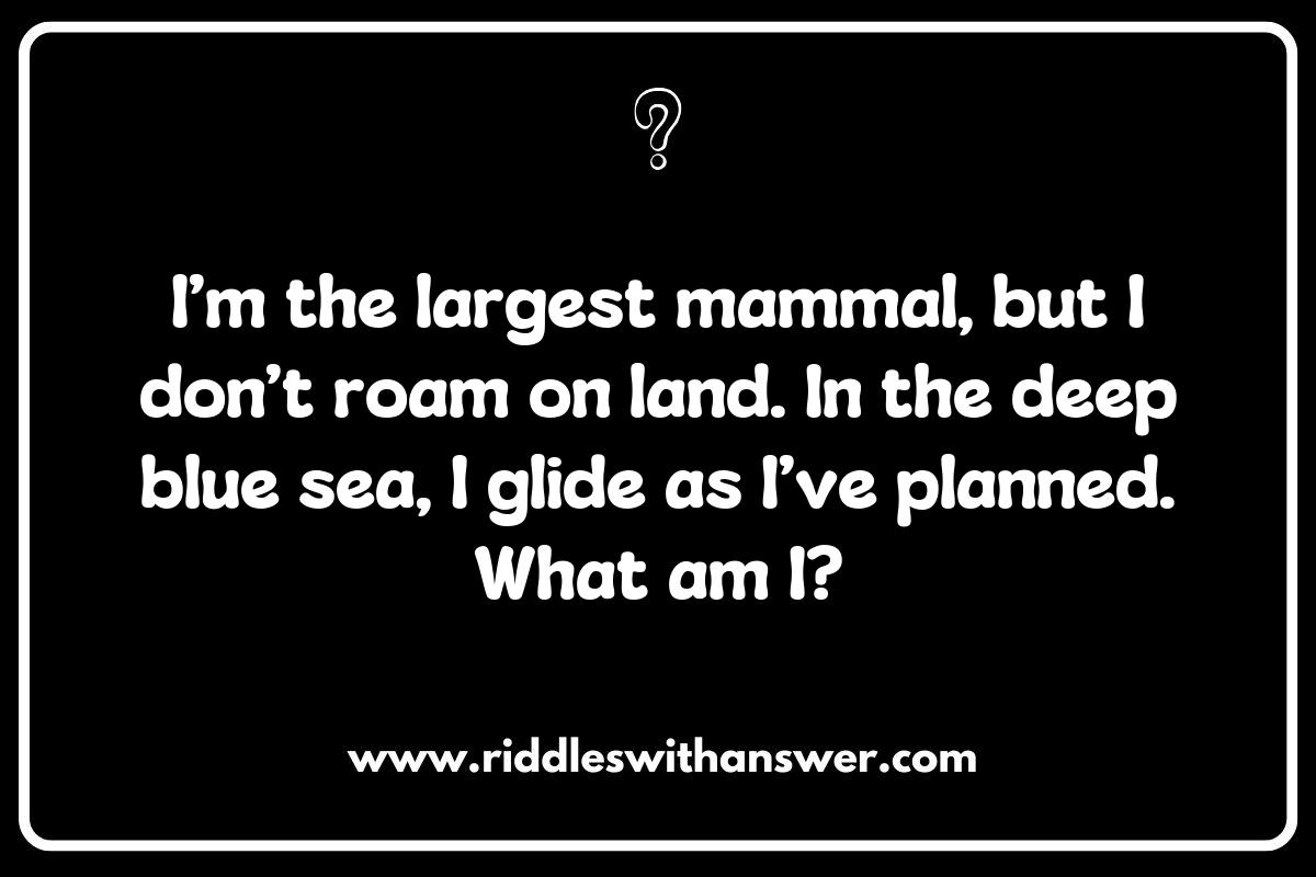 Whale Riddles: Dive Deep into the Ocean of Fun Whale Riddles: Dive Deep into the Ocean of Fun