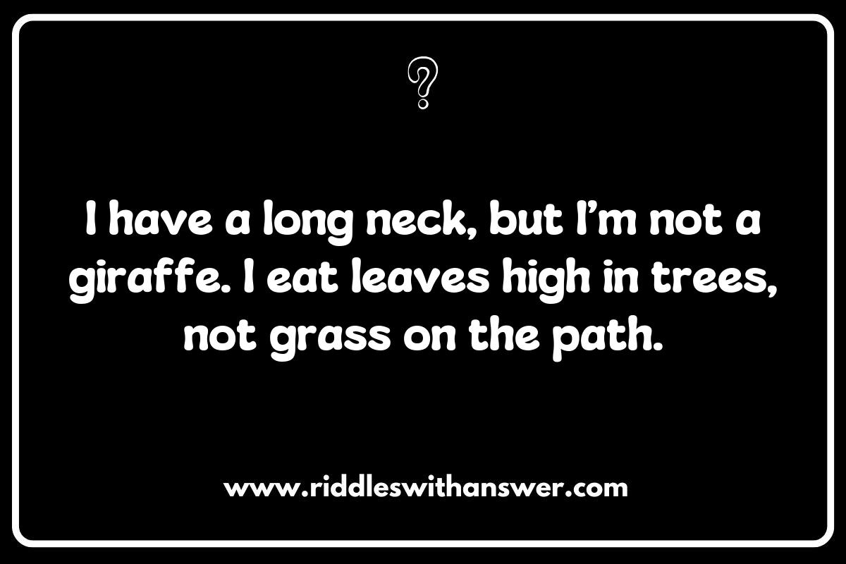 What is It Animal Riddles: Unraveling Nature's Mysteries What is It Animal Riddles: Unraveling Nature's Mysteries