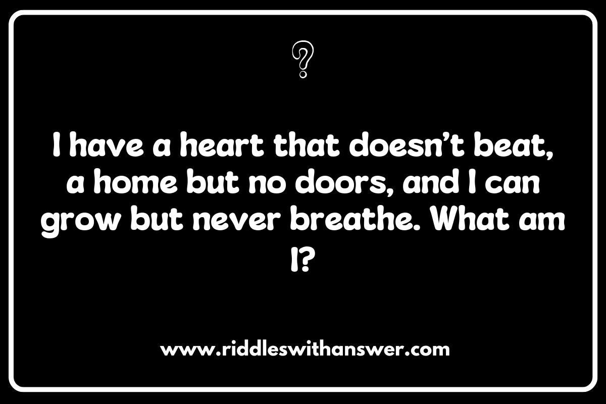 What is It Riddles: The Ultimate Brain Teasers for Your Friends What is It Riddles: The Ultimate Brain Teasers for Your Friends