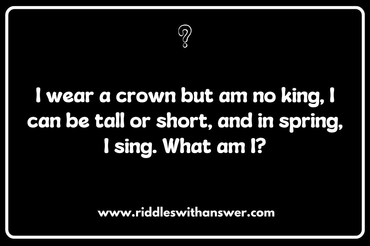 What is it Nature Riddles: A Fun Way to Appreciate Biodiversity What is it Nature Riddles: A Fun Way to Appreciate Biodiversity