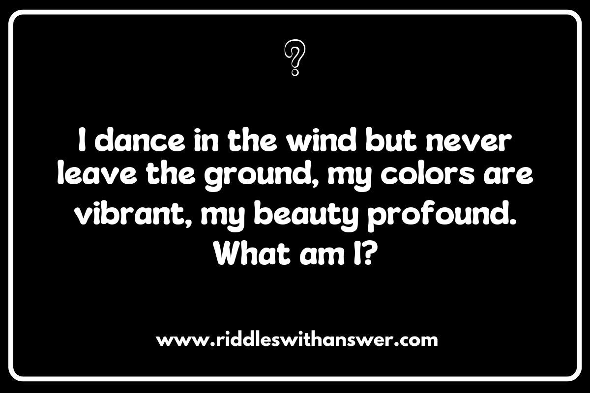 What is it Nature Riddles: Uncovering the Secrets of the Wild What is it Nature Riddles: Uncovering the Secrets of the Wild