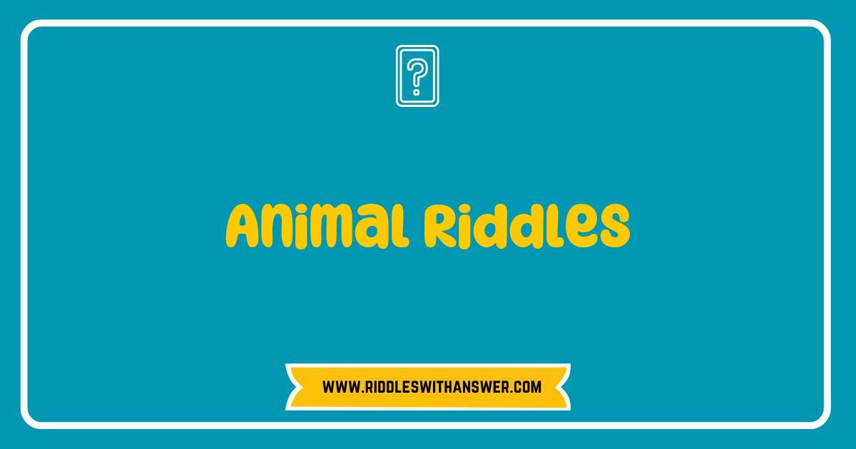 Best Animal Riddles That Will Challenge Your Mind and Amuse Your Friends Best Animal Riddles That Will Challenge Your Mind and Amuse Your Friends