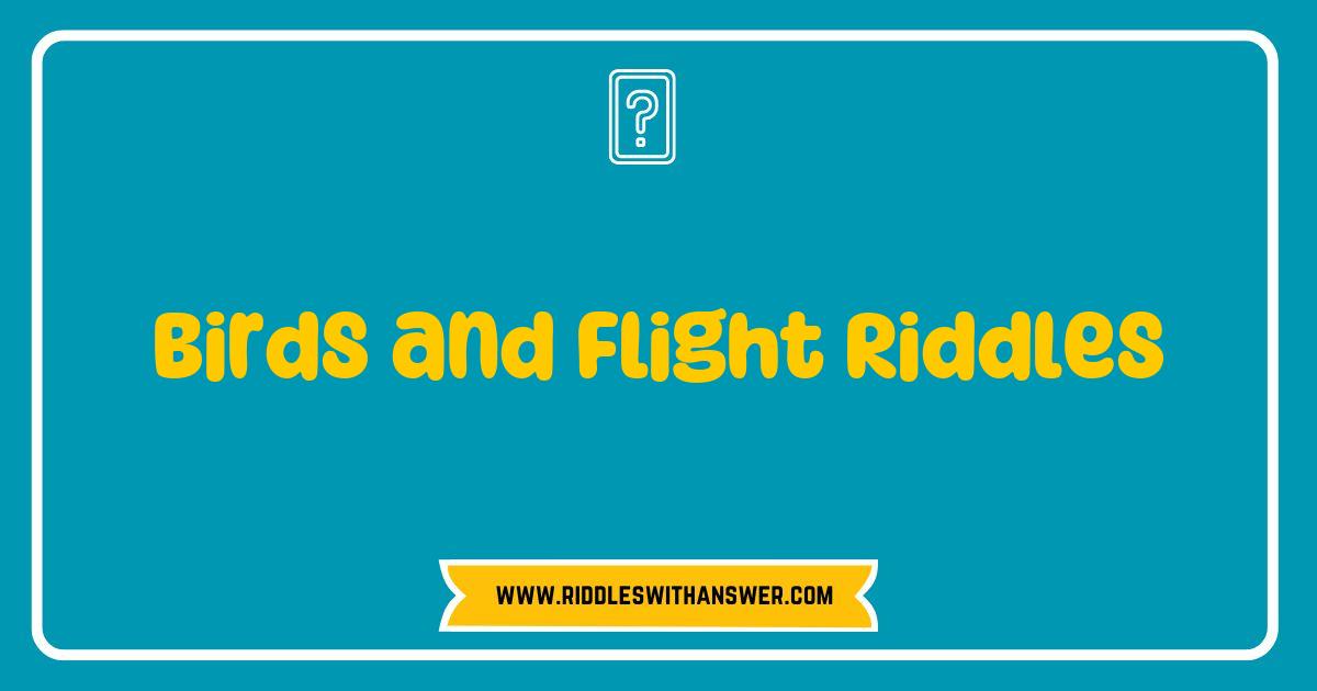 Best Birds and Flight Riddles That Will Soar Your Curiosity Best Birds and Flight Riddles That Will Soar Your Curiosity