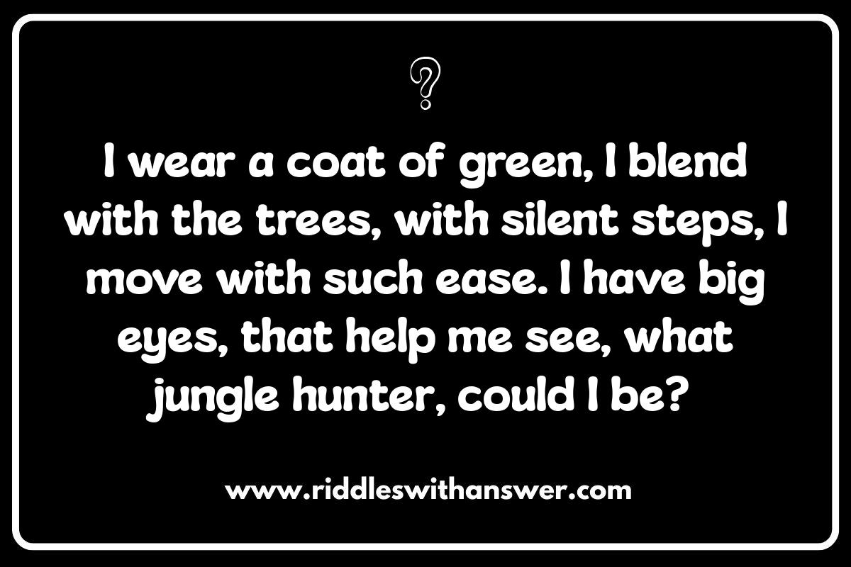 Animal Adventures: Jungle Riddles for Kids Animal Adventures: Jungle Riddles for Kids