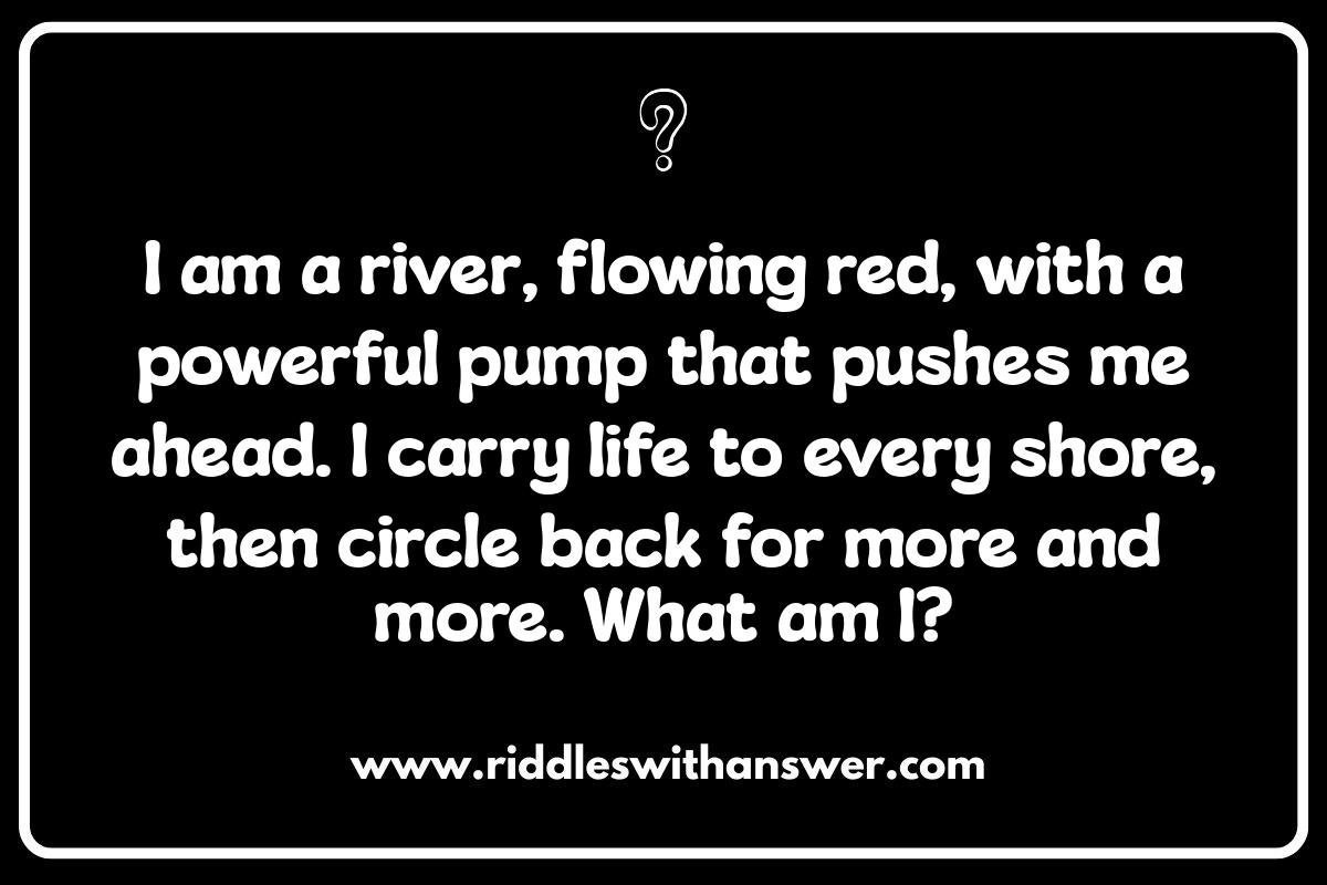Circulatory System Clues: Anatomy Riddles to Test You Circulatory System Clues: Anatomy Riddles to Test You